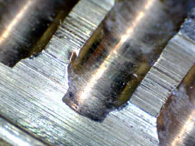 Examen microscópico